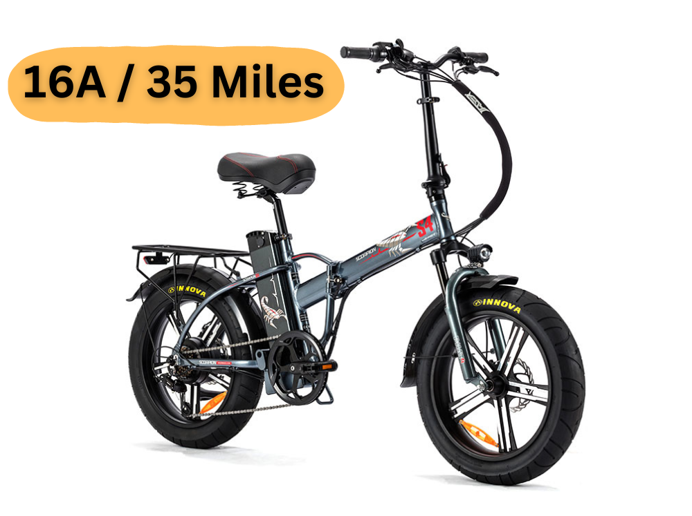 E-Bike Rental - Fat Tire 4"