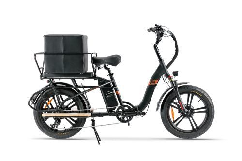 E-Bike Rental Waggen