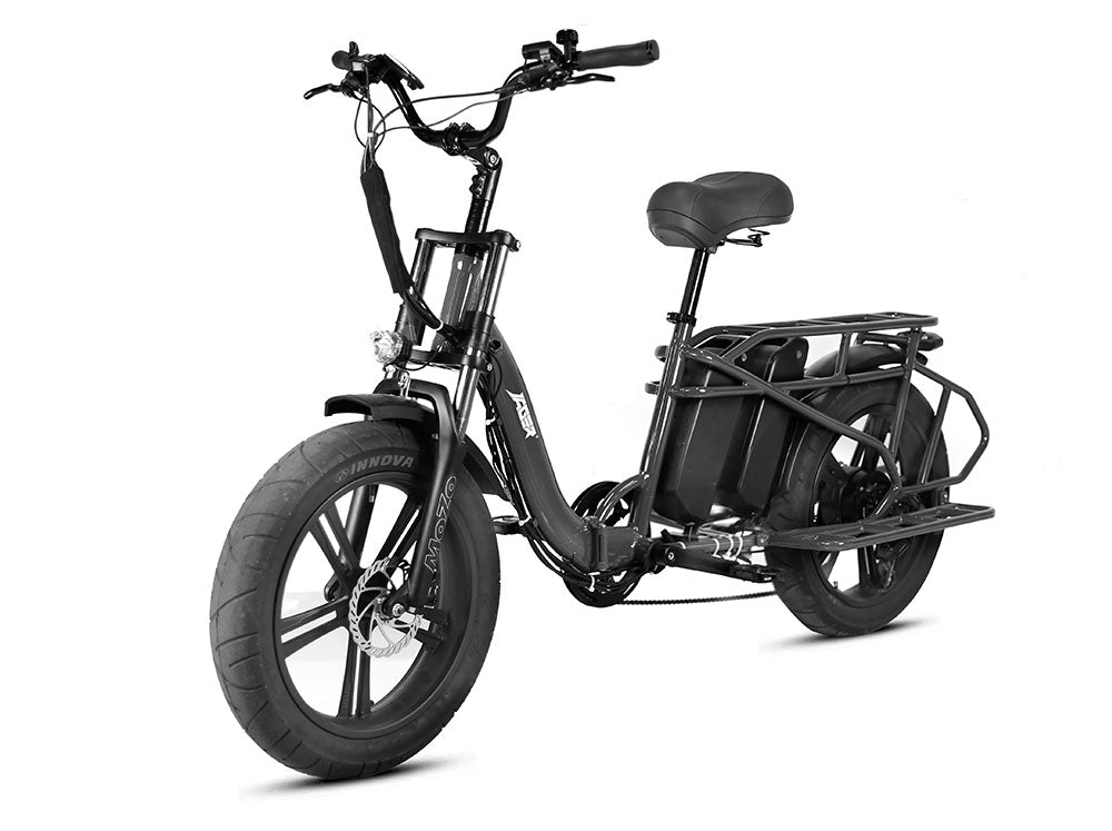 E-Bike Rental Waggen